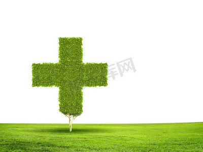 绿色植物图标摄影照片_绿化理念。绿色植物的概念形象。保护我们的星球