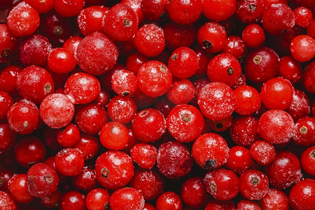 顶视小红莓排列。高分辨率和高质量的美丽照片。顶视小红莓排列。高画质美照理念