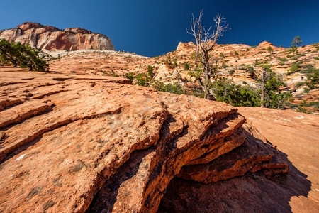 美国犹他州锡安国家公园的岩层景观