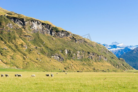 山和草地摄影照片_风景如画。新西兰阿尔卑斯山和草地的自然景观