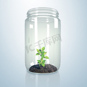 泥土的种子摄影照片_玻璃瓶里的绿芽和泥土