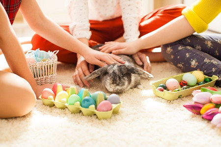 兔子耳朵摄影照片_兔子，地毯，庆祝，欢快