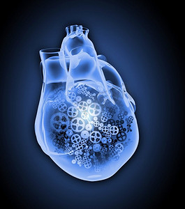 人类的心脏人体心脏图像与机制。健康和医学