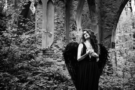 老森林里长着黑色翅膀的堕落天使