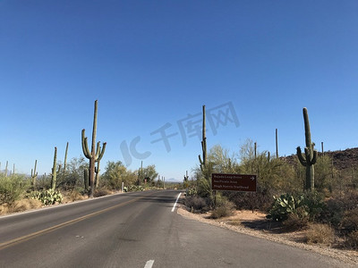 Saguaro国家公园的一条高速公路穿过典型的索诺兰沙漠风景