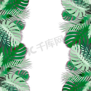 热带树叶的边框是纸制的，带阴影，白色背景下孤立。奇异的树叶