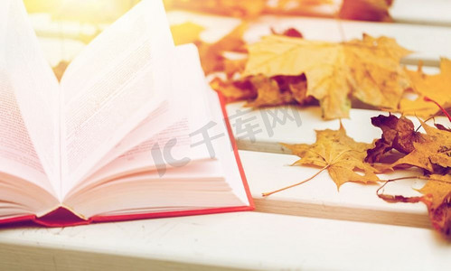 季节、教育和文学理念--打开书本，公园长椅上的秋叶。公园长椅上翻开的书和秋叶