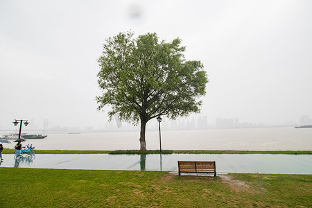 江边下雨树木公园风景