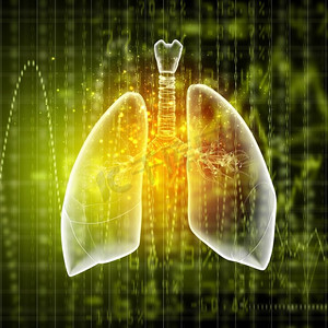人类肺部的示意图。在彩色背景上具有不同元素的人肺的示意图。拼贴画。