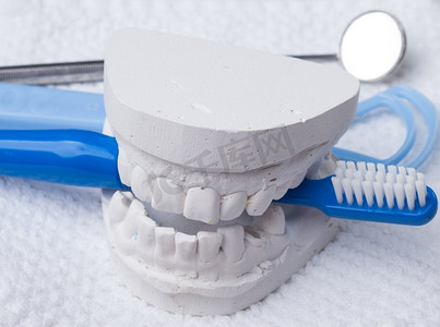刷口摄影照片_口腔卫生健康概念。特写蓝色牙刷镜子和舌头清洁器与牙科石膏模型