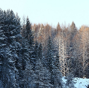 寒冬森林景观雪