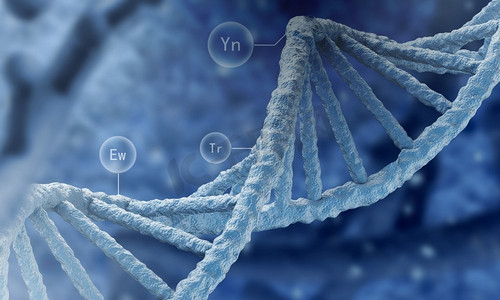 脱氧核糖核酸分子.