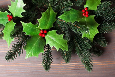圣诞前夜冬青浆果和灰色的冷杉树枝.盆栽植物冬青
