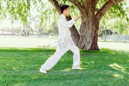 陈式太极拳摄影照片_练太极拳的帅哥。夏天在公园练太极拳的帅哥