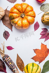 美丽的秋季季节背景，南瓜，各种秋叶和玉米，白色桌子背景，俯视，框架