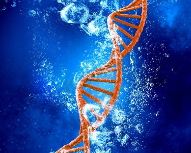 水中的DNA分子。清澈晶蓝的水中的DNA分子