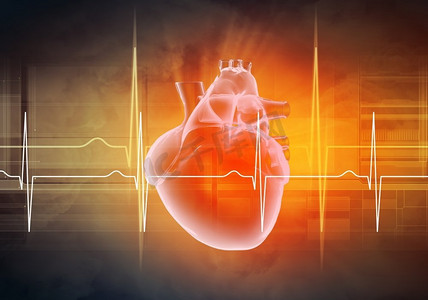 人的心脏会跳动。人体心脏的心电图虚拟图像