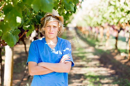 葡萄园里的男孩。小男孩在葡萄园里摘葡萄