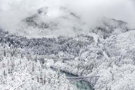 冬季景观积雪覆盖树木，火车过河过桥