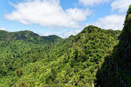 山龙虎山摄影照片_Pirongia山，怀卡托，新西兰。新西兰Pirongia山的风景从山顶附近