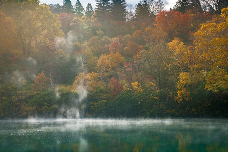 秋日青森湖，日本。日本东北地区白田青森的秋林温泉湖