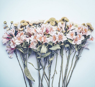 淡彩摄影照片_美丽的花朵在淡蓝色的背景上，顶视。花卉布局或卡片