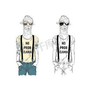 lama男子潮人打扮在酷T恤与有趣的报价。拟人化动物插图。手工绘制矢量图形Lama man hipster