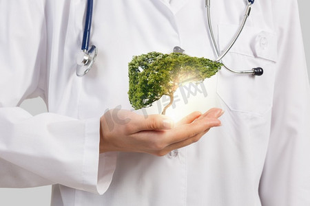 手持弹幕摄影照片_健康的肝脏。女医生手持绿树特写