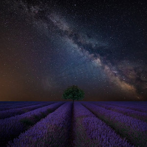 美丽的薰衣草田野上令人惊叹的充满活力的银河合成图像