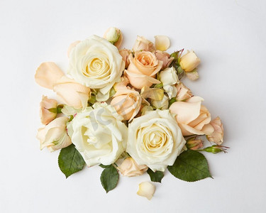 美丽的米色玫瑰花束在白色背景，平奠定。一束米色玫瑰