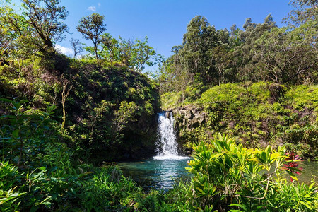 夏威夷的瀑布美丽的瀑布在热带雨林在夏威夷岛，美国
