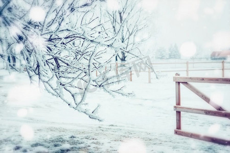 冰冻的树木、积雪和木栅栏的冬日乡村景观，户外自然背景