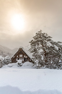 日本岐阜市中部白川县的降雪和冬日