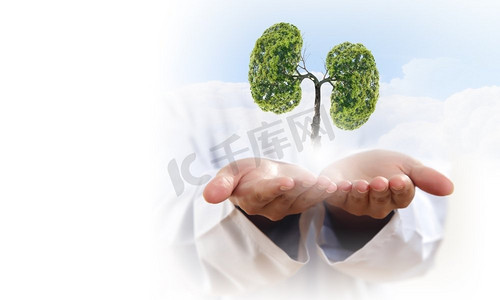 大气污染.绿树的概念图像在手中形状像人的肺