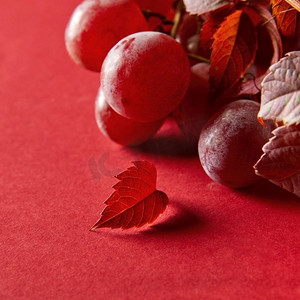 葡萄叶子摄影照片_成熟的红葡萄和葡萄叶子浆果在红色背景特写镜头。一串成熟的红葡萄