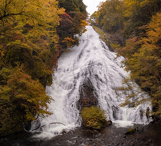 日本日兴横木的育达基瀑布的秋日森林