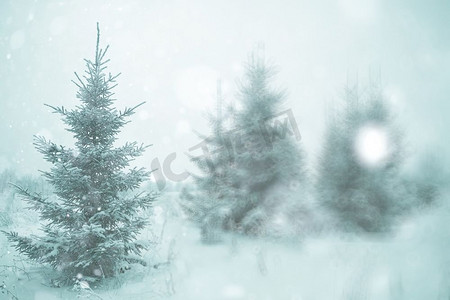 模糊的背景小圣诞树与雪冬天