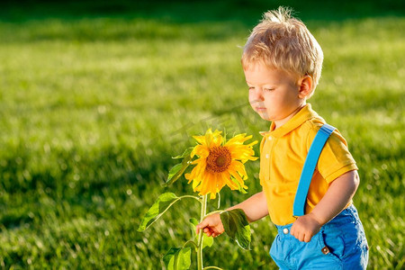 漂亮向日葵摄影照片_户外学步儿童的肖像。一岁男婴看向日葵的乡村场景