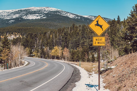 秋天在公路上的鹿交叉标志。鹿交叉标志在高速公路在秋天晴天在科罗拉多州，美国。 