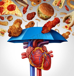 心血管、胆固醇、食物、胆固醇