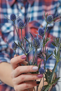 送花的手摄影照片_一个有蓝色花朵的女人。一个女孩送花。母亲节拿着蓝色花朵的女人