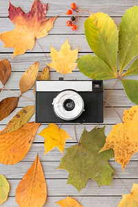 秋天木板背景摄影照片_摄影和季节概念-胶片相机和灰色木板背景下的秋叶。胶片摄影机和木板上的秋叶