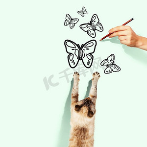 暹罗猫。暹罗猫捕捉被画蝴蝶的图像