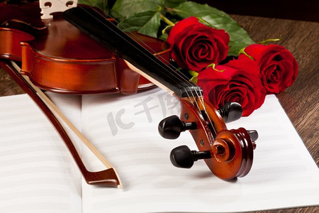 红玫瑰和一把小提琴。桌子上放着红玫瑰和一把小提琴