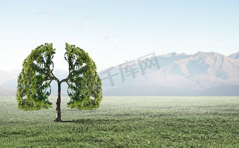 大气污染.绿色的树形状像人的肺的概念图像