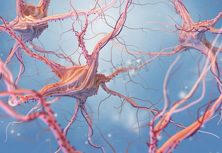 受体摄影照片_神经元和神经系统。神经细胞的3D渲染3D插图。神经元和神经系统