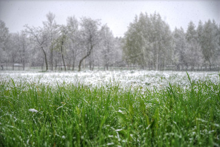 下雪路摄影照片_夏天下雪.反常的天气。气候的变化。夏天下雪