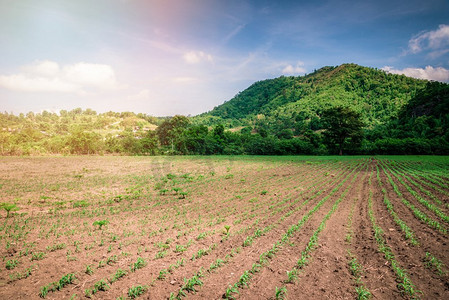 卡通农民伯伯摄影照片_有犁的风景农村领域农民种植和岩石山蓝天背景/开始耕作玉米领域