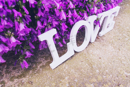 可爱情话摄影照片_紫色花园里的情话