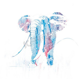 数字绘画的剪影大象。大象印象水彩